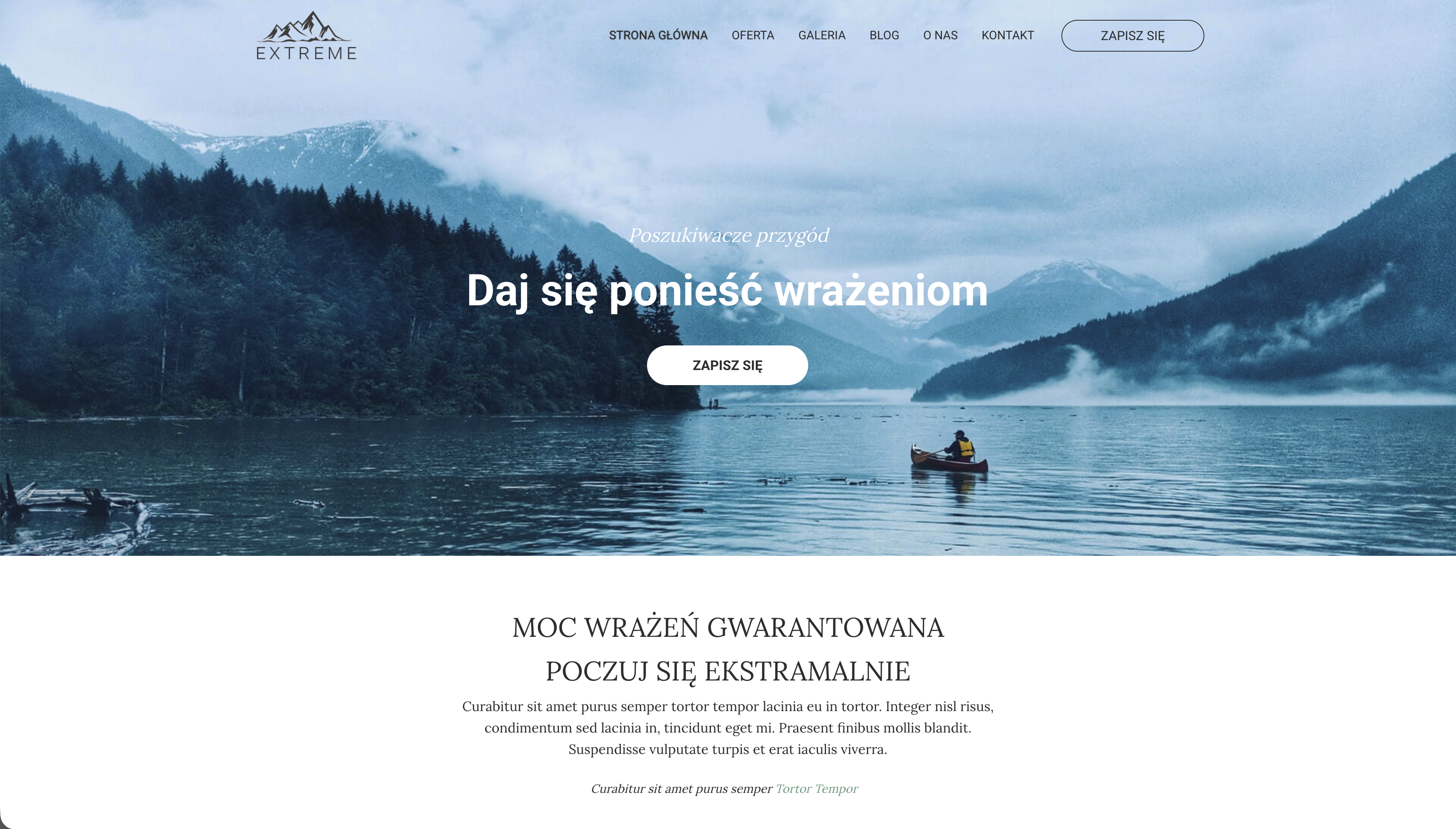 Szablon strony internetowej